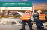 Process Safety Academy · • Ingenieros y responsables de seguridad, salud y medio ambiente de las industrias de proceso (química, petroquímica, farmacia, agroali- mentaria) que