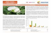 El cultivo de la arveja en Colombia - dane.gov.co · 2 Boletín mensual INSUMOS Y FACTORES ASOCIADOS A LA PRODUCCIÓN AGROPECUARIA como: establecimiento y manejo del cultivo, cosecha