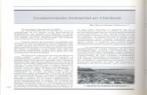 Contaminación Ambiental en Chimbote - …repebis.upch.edu.pe/articulos/penochid/v2n2/a8.pdf · ejercido en el ambiente. 2. La influencia -(abundancia, producción y consumo por persona),