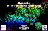 Myocarditis: The Role of Endomyocardial Biopsy · The role of endomyocardial biopsy in the management of ... Giuseppe Ambrosio and Jose Milei ... Diagnosis and treatment of myocarditis: