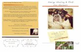 About Energy Healing for Pets: Energy Healing & Reiki … · Energy Healing & Reiki for Animals About Energy Healing for Pets: Contact Info: 908 246 1410 tvl297@gmail.com Intuitive
