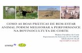 AMBIÊNCIA NA PRODUÇÃO DE BOVINOS DE …aveworld.com.br/relatorio/6aa77eeff186f5e2da712862ec272cda.pdf · Bem-Estar Animal ativismo e ciência e negócios (certificação, consultoria,