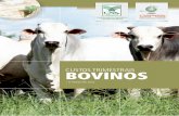 CUSTOS TRIMESTRAIS BOVINOS - CEPEA-Esalq/USP · 3 custos trimestrais bovinos | 4º trimestre 2016 bovinos trimestral cepea - centro de estudos avanÇados em economia aplicada - esalq/usp