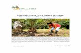 AGROINDUSTRIA DE LA PALMA ACEITERA - …junpalmaperu.org/sites/default/files/archivos/2017/publicacion/05/... · AGROINDUSTRIA DE LA PALMA ACEITERA: Alternativa Sostenible que Promueve