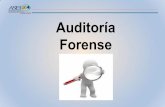 Presentación de PowerPoint - tecnologia.aseh.gob.mx · se encontrare el pasivo del delito, obtenga ilícitamente alguna ... NEXO CAUSAL: Las Normas internacionales de Auditoría