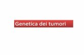 Genetica dei tumori - Giancarlo Accattatis · Si verificano in tutte le classi di vertebrati ed invertebrati Sarcomi e carcinomi sono stati riscontrati in alcune mummie egiziane e
