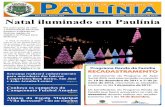 Natal iluminado em Paulínia - Prefeitura Municipal de … · ado de atrações, além do espetá-culo da iluminação, o público po-derá ver 20 árvores de 3 metros ao redor do