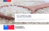 La cadena del arroz en Chile - odepa.gob.cl · Noviembre 2017 2 La cadena del arroz en Chile Noviembre de 2017 Autores: Álvaro Espinoza Hernández Unidad de Transparencia de …