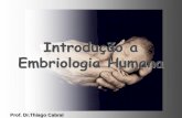 Introdução a Embriologia Humana - Fisioterapia …fisiofatern.weebly.com/.../introduo_a_embriologia_prof_thiago_pdf.pdf · Embriologia Humana Conceito É a ciência que estuda a