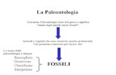 dipbsf.uninsubria.itdipbsf.uninsubria.it/paleo/fossilizzazione.pdf · La Paleontologia Il termine Paleontologia viene dal greco e significa "studio degli antichi esseri viventi".