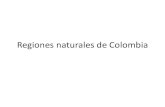 Regiones naturales de Colombia · Las regiones naturales de Colombia son divisiones territoriales ... Las islas continentales son las que se ubican más próximas al territorio ...