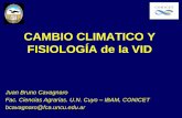 CAMBIO CLIMATICO Y FISIOLOGÍA de la VID · Cuenca San Juan Mendoza Tunuyan Diamante Atuel Temperatura +1.50 C +1.50 C +1.25 C +1.25 C +1.25 C Precipitación montaña-105mm -105mm