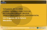 Valladolid 28-11-2011 CURSO TEORICO PRACTICO …felixheras.es/Curso%20Cirug%EDa%20Videotoracosc%F3... · de diferentes medidas, suturas reutilizables, cargas estériles, la primera