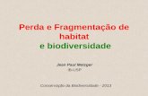 Perda e Fragmentação de habitat e biodiversidadeweb01.ib.usp.br/bie314/2013/aula3_Fragmentacao_2013.pdf · formado por unidades interativas. ... Estrutura da mosaicos heterogêneos