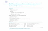 Epidemiología y fisiopatología de la apnea del sueño e ...educacion.sac.org.ar/pluginfile.php/2821/mod_page/content/2/102... · vía aérea (CPAP) como tratamiento de la apnea