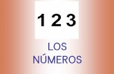 LOS NÚMEROS · UNO uno . DOS dos . TRES tres . CUATRO cuatro . CINCO cinco . SEIS seis . SIETE siete . OCHO ocho . NUEVE nueve . DIEZ diez . ONCE once . DOCE