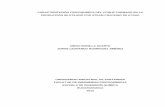 CARACTERIZACIÓN FISICOQUÍMICA DEL COQUE FORMADO EN LA ...tangara.uis.edu.co/biblioweb/tesis/2012/142957.pdf · caracterizaciÓn fisicoquÍmica del coque formado en la producciÓn
