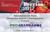 Arándanos en Perú Situación Actual y Perspectiva Futuraorganizamoseventosagricolas.cl/wp-content/uploads/2017/10/Miguel... · Chile, Junio de 2017 Miguel Bentin. REALIDAD ACTUAL