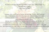 FISIOLOGÍA POSTCOSECHA DE FRUTAS Y …sgpwe.izt.uam.mx/files/users/uami/lyanez/FPO/Introduccion2a.pdf · importancia de la fisiologia y tecnologia postcosecha de frutas y hortalizas