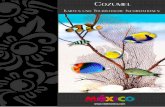 Cozumel - Visit Méxicobeta.visitmexico.com/work/models/VisitMexico30/Folletos/Cozumel_de.… · tema de la Guía. Accede al Índice o ... datos curiosos y particularidades de todos