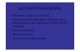 NUTRICION MINERAL - webdelprofesor.ula.ve · NUTRICION MINERAL • Elemento mineral esencial • Fertilización: fertilizantes, relación pH y ... directamente en el metabolismo: