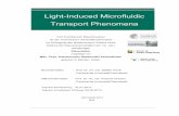 Light-Induced Microfluidic Transport Phenomena - …tuprints.ulb.tu-darmstadt.de/3509/1/PhD thesis_SN.Varanakkottu.pdf · Light-Induced Microfluidic Transport Phenomena Vom Fachbereich