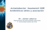 Acinetobacter baumannii XDR Antibióticos útiles y …wp-cursos.s3.amazonaws.com/wp-content/uploads/2015/11/24165721... · NOUCI 54,0% 33,9% 27,6% 48,6% 42,5% 39,4% 98,9% 67,9% HOSPITALIZADOS