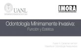 Odontología Mínimamente Invasiva - INSTITUTO MEXICANO DE ...imora.mx/wp-content/uploads/2016/07/funcion_estetica.pdf · fase, durante el cual se realiza un control de placa, detartraje