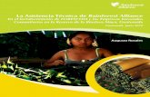La Asistencia Técnica de Rainforest Alliance · Progreso de las Unidades de Manejo Forestales en la Reserva de la Biósfera Maya y FORESCOM Acrónimos ...