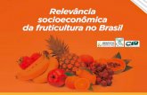 Apresentação do PowerPoint - agricultura.gov.br · fruticultura brasileira 2. Mapeamento dos indicadores socioeconômicos das regiões produtoras de frutas no frutas no Brasil 3.