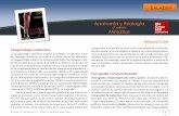 Anatomía y fisiología Miniatlas - novella.mhhe.comnovella.mhhe.com/.../Saladin_Anatomia_y_fisiologia_6a_Miniatlas.pdf · La mayor parte de los atlas de anatomía de cortes trasversales