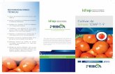 Cultivar de tomate ‘IDIAP T-9’ - repiica.iica.intrepiica.iica.int/docs/B4177e/B4177e.pdf · IntroduccIón El IDIAP, como primer eslabón de la cadena de investigación Agropecuaria,