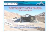 1. -Ubicaci ón de Minera Pampa de Cobre - udec.cl · •Durante los meses de enero y febrero cristalización de equipos y líneas de transporte. •Durante el mes marzo se reemplazo