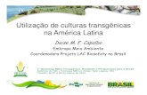 Utilização de culturas transgênicas na América Latina · Marcos regulatorios de bioseguridad ... 345050.boletin.pdf >ISBN: 9789292482909. Peru • Abril 2011 –aprovação o
