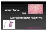 RESISTÊNCIA nas BACTÉRIAS GRAM NEGATIVO - … Ramos - Gram... · RESISTÊNCIAS AOS ANTIMICROBIANOS Enterobactereáceas Aminopenicilinas-Resistentes A minop./Inibidores-Resistentes