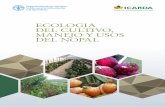 ECOLOGIA DEL CULTIVO, MANEJO Y USOS DEL … · ECOLOGIA DEL CULTIVO, MANEJO Y USOS DEL NOPAL Producido por La Organización de las Naciones Unidas para la Alimentación y la Agricultura
