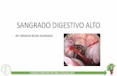 SANGRADO DIGESTIVO ALTO - asocmi.com · causas de sda causas comÚnes •Úlceras gastricas y/o duodenales •vÁrices esofago-gÁstricas •esofagitis erosiva severa •gastritis/duodenitis