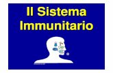 Il Sistema Immunitario - omero.farm.unipi.itomero.farm.unipi.it/2014/matdidFarm/16/15-immunoglobuline.pdf · placche di Peyer nell’intestino). Leucociti : si dividono in neutrofili,