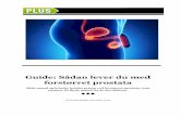 Guide: Sådan lever du med forstørret prostatabem-symfony-content.s3-eu-west-1.amazonaws.com/bdk/... · 1,4 mg/30 depotkapsel Bivirkning: Mundtørhed, træthed, forstoppelse, mavesmerter