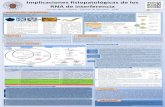 Implicaciones fisiopatológicas de los RNA de …147.96.70.122/Web/TFG/TFG/Poster/CARMEN BARRON GARCIA.pdfImplicaciones fisiopatológicas de los RNA de interferencia Carmen Barrón