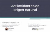 Antioxidantes de origen natural - tergumcosmetics.comtergumcosmetics.com/wp-content/uploads/2015/06/Presentacion... · El cuerpo humano posee mecanismos de eliminació n de ... ¿En