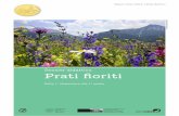 Prati fioriti - Pro Natura Ticino: benvenuti! · 3 Care docenti, cari docenti, Chiudete gli occhi e immaginatevi per un momento sdraiati in un prato fiorito a guardarne i colo - ri,