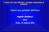 Tumori non epiteliali dell’utero Angiolo Gadducci · Tumori non epiteliali dell’utero Angiolo Gadducci (Pisa) Torino, 26 febbraio 2010 I tumori del corpo dell’utero: strategie