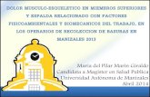 María del Pilar Marín Giraldo Candidata a Magister en ...repositorio.autonoma.edu.co/jspui/bitstream/11182/686/3... · DME afectan miembro superior y columna vertebral. ... dolor