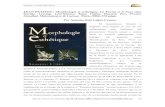 JEAN PETITOT : Morphologie et esthétique. La Forme …revistadefilosofia.com/10-15.pdf · paradigmáticas en la narratividad mantenido entre Lévi-Strauss y el autor de Morfología