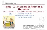 Tema 11. Fisiología Animal & Humanadpbiologia.weebly.com/uploads/2/1/5/5/21553524/gtp_t11.fisiologia... · razón por la que fracasaron los esfuerzos realizados al comienzo del siglo