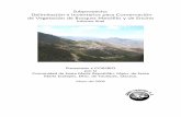 Subproyecto: Delimitación e Inventarios para … · Cretácico y rocas ígneas del Terciario para la zona de estudio. Los tipos de suelo registrados son: acrisol húmico, litosol
