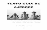 TEXTO GUÍA DE AJEDREZ - escaques.cl · decisivo. Hay que recordar que la mayoría de los finales de tres peones contra caballo es ventajoso para los peones. 62...1xg6 63.(xb6 (d7