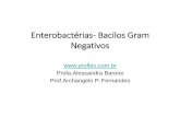 Enterobactérias- Bacilos Gram Negativos · 2018-03-05 · Enterobactérias- Bacilos Gram Negativos ... •Bacilo gram-negativo que habita normalmente o trato ... inibem o crescimento