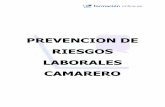 PREVENCION DE RIESGOS LABORALES CAMARERO · 4 En este párrafo están contenidos los pilares básicos de una prevención activa que fundamentan la Ley de Prevención de Riesgos Laborales.